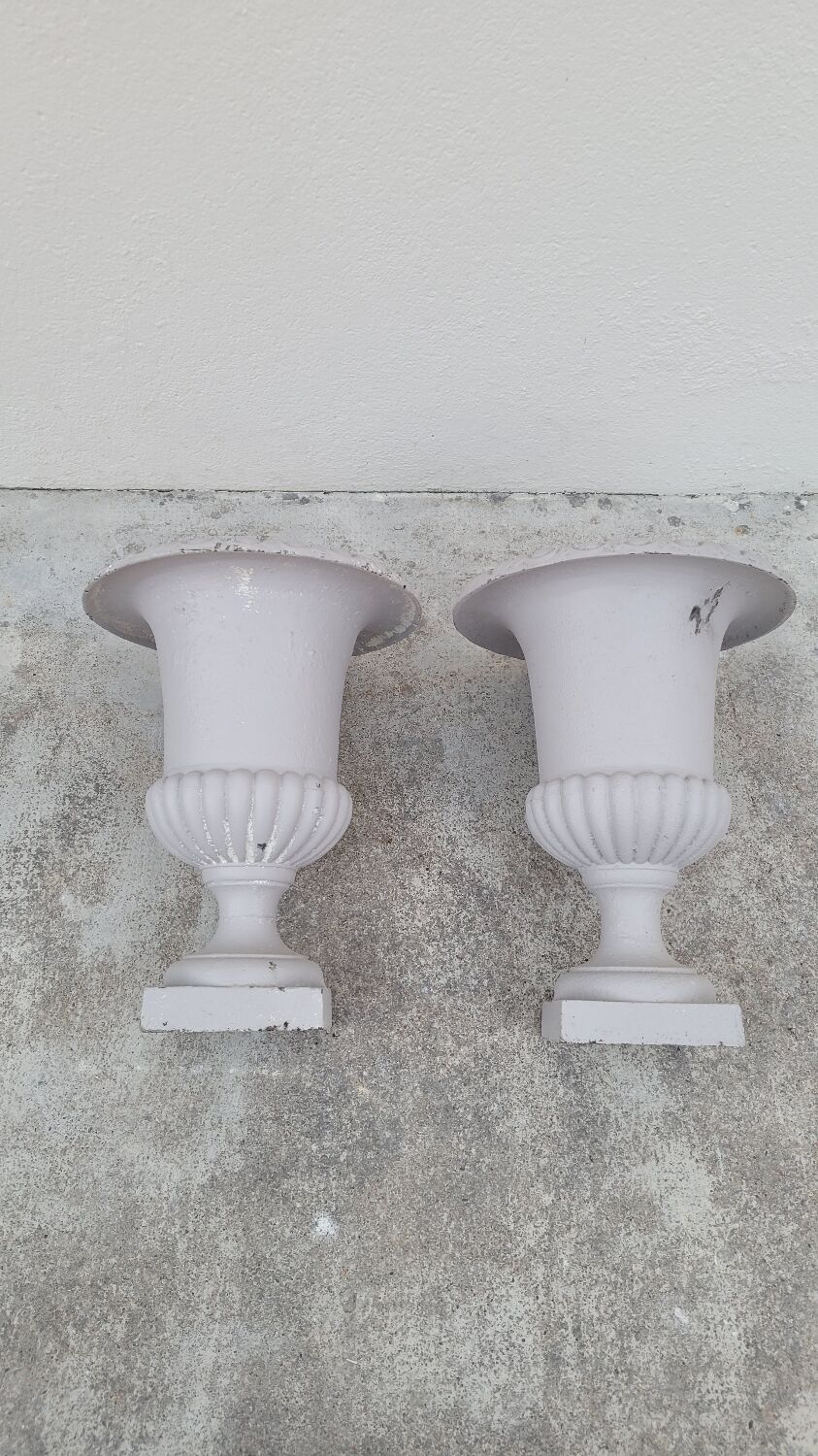 Pair of 19th century cast iron medicis vases