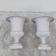 Pair of 19th century cast iron medicis vases