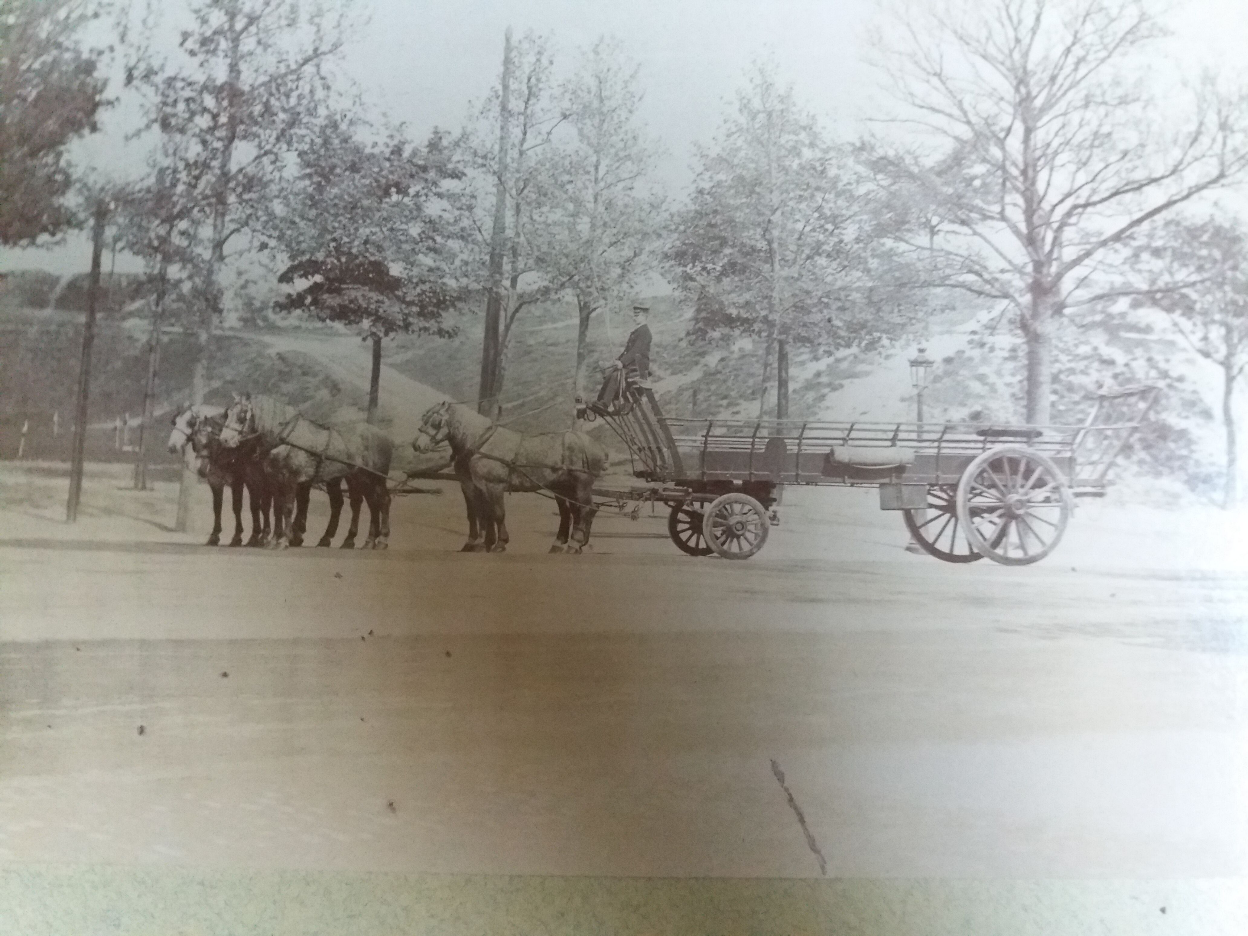 Old photograph 1900 cart, coachman and horses