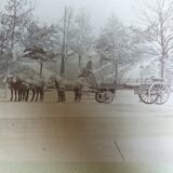 Old photograph 1900 cart, coachman and horses