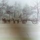 Old photograph from 1900 of a carriage, coachman, and horses.