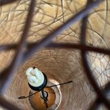 Sixties Rattan and Fiberglass Italian Floor lamp