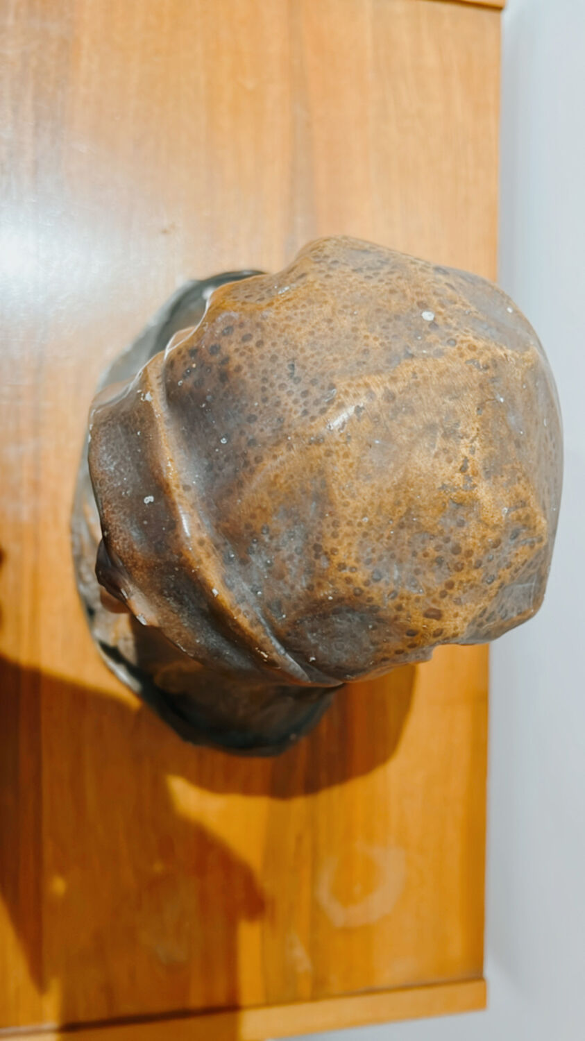 Vintage plaster bust