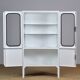 Armoire Médicale Vintage Restaurée en Fer et Verre, 1970