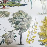 Lithograph on garden trees "cedar"
