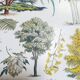 Lithograph on garden trees "cedar"