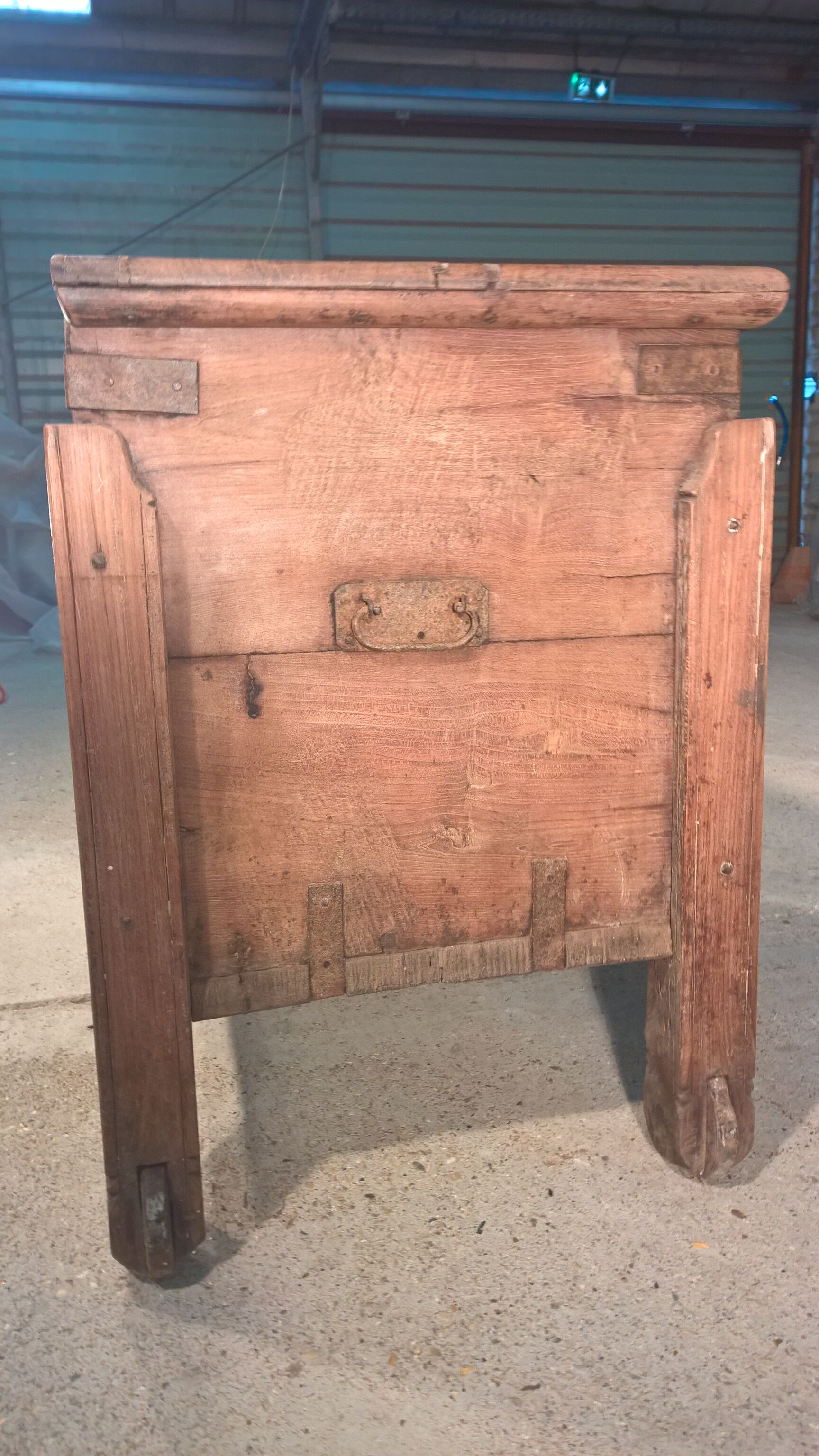 Trunk goannais ink310