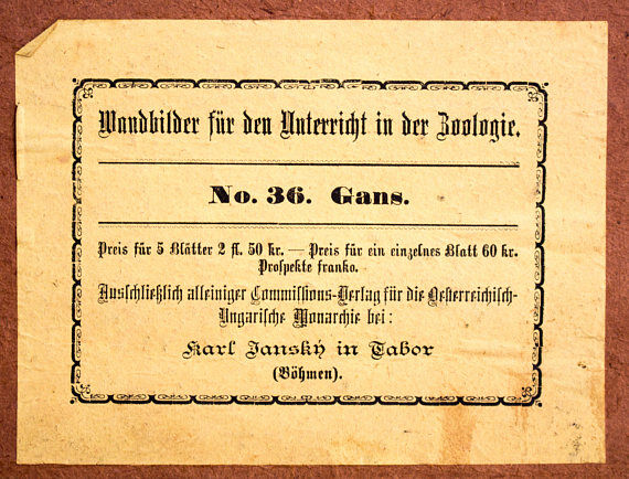 Poster "goose" lithography Karl Jansky, Böhmen 1897