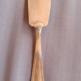 Cake shovel