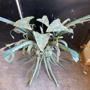 Vintage console in patinated metal with reed leaves.