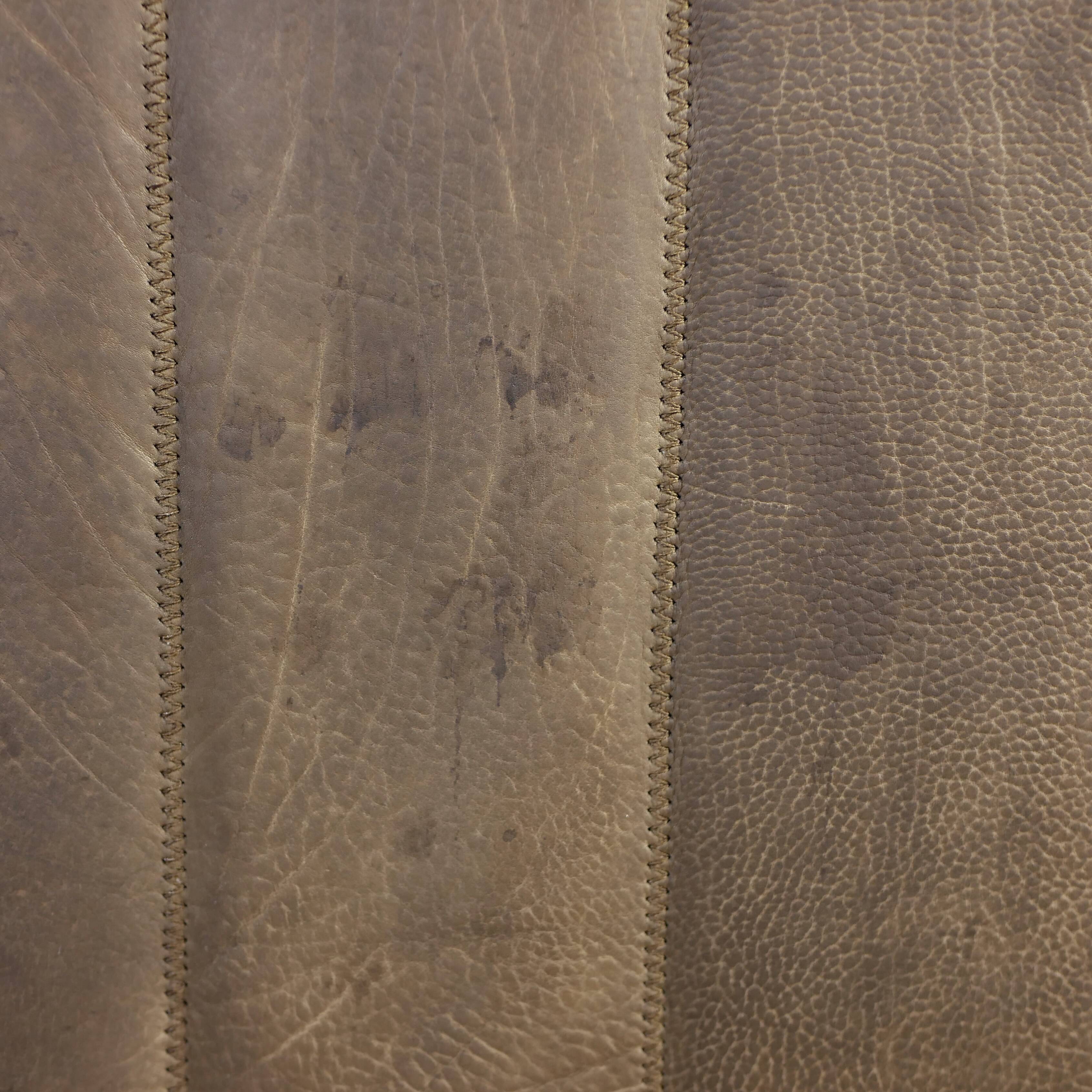 DeSede DS84 sofa in taupe buffalo leather