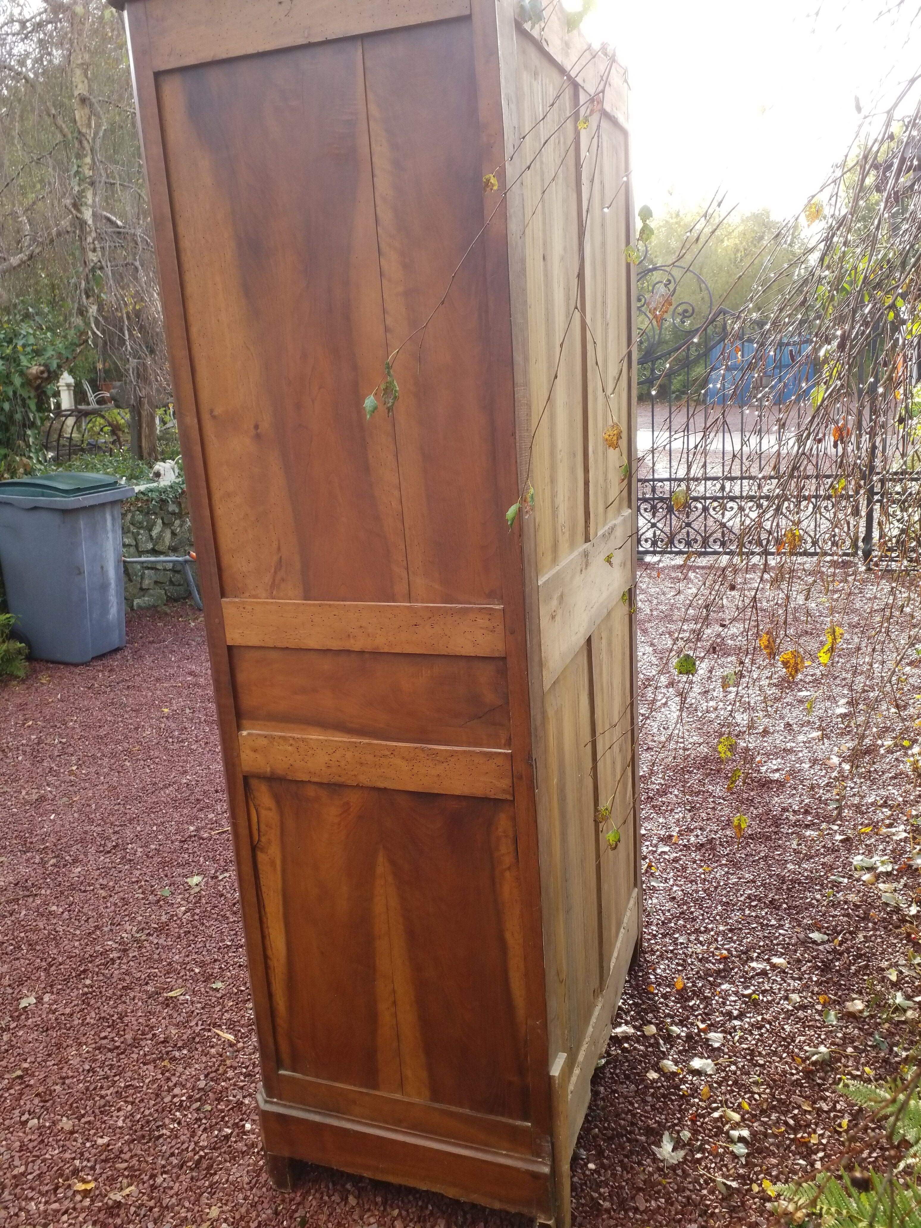 Elm magnifying glass bonnetière