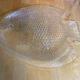 Plate + 5 ARCOROC Fish Shape Glass Mould Plates + Vintage Box #