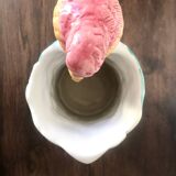 Parakeet pitcher in slip