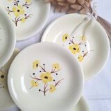 Vintage Salins deep plates