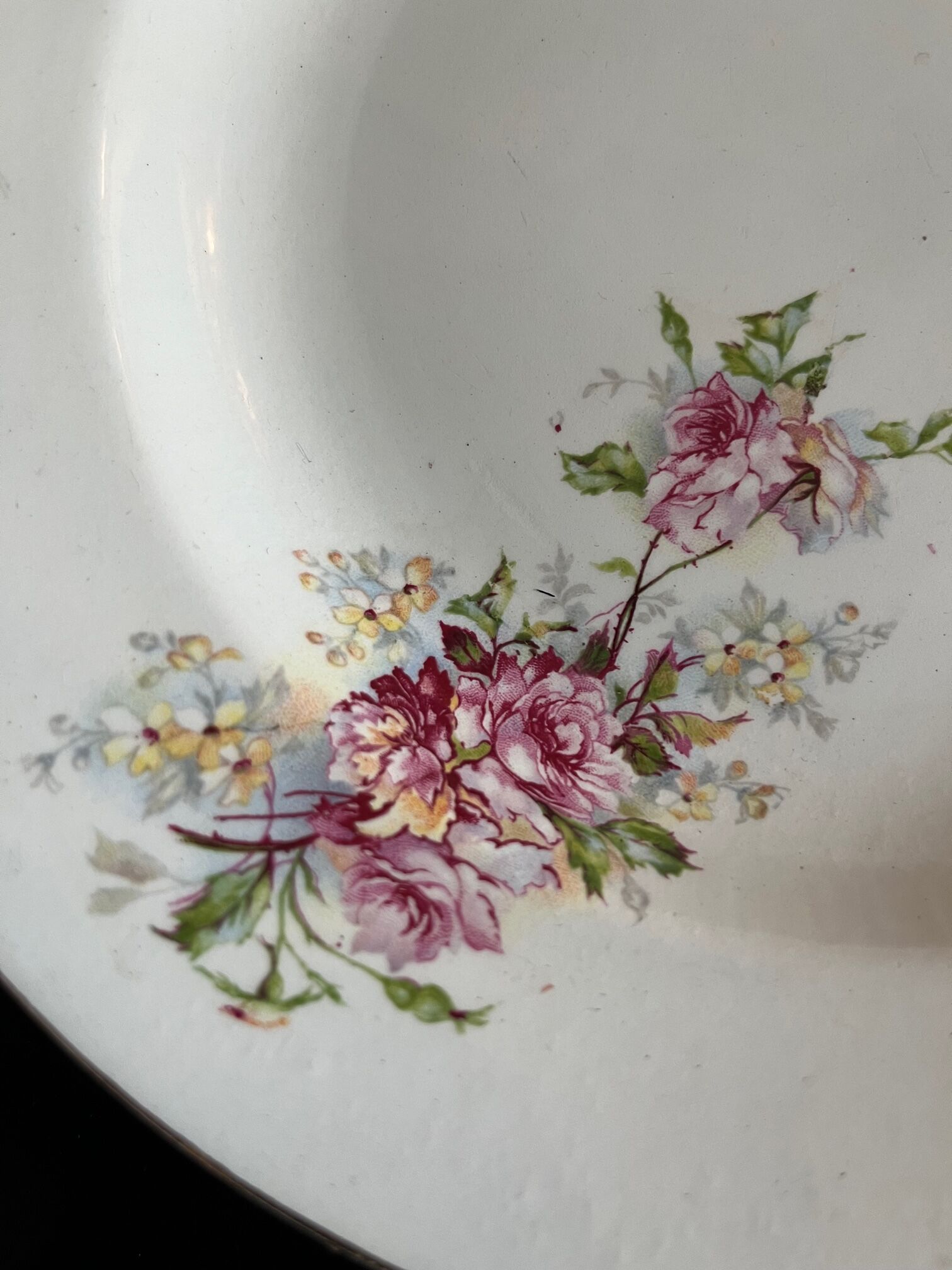 Large service 24 pieces iron earth