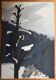 Jeannie Borel, Winter Landscape in Switzerland (1957)