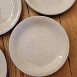 6 assiettes à dessert mouchetées