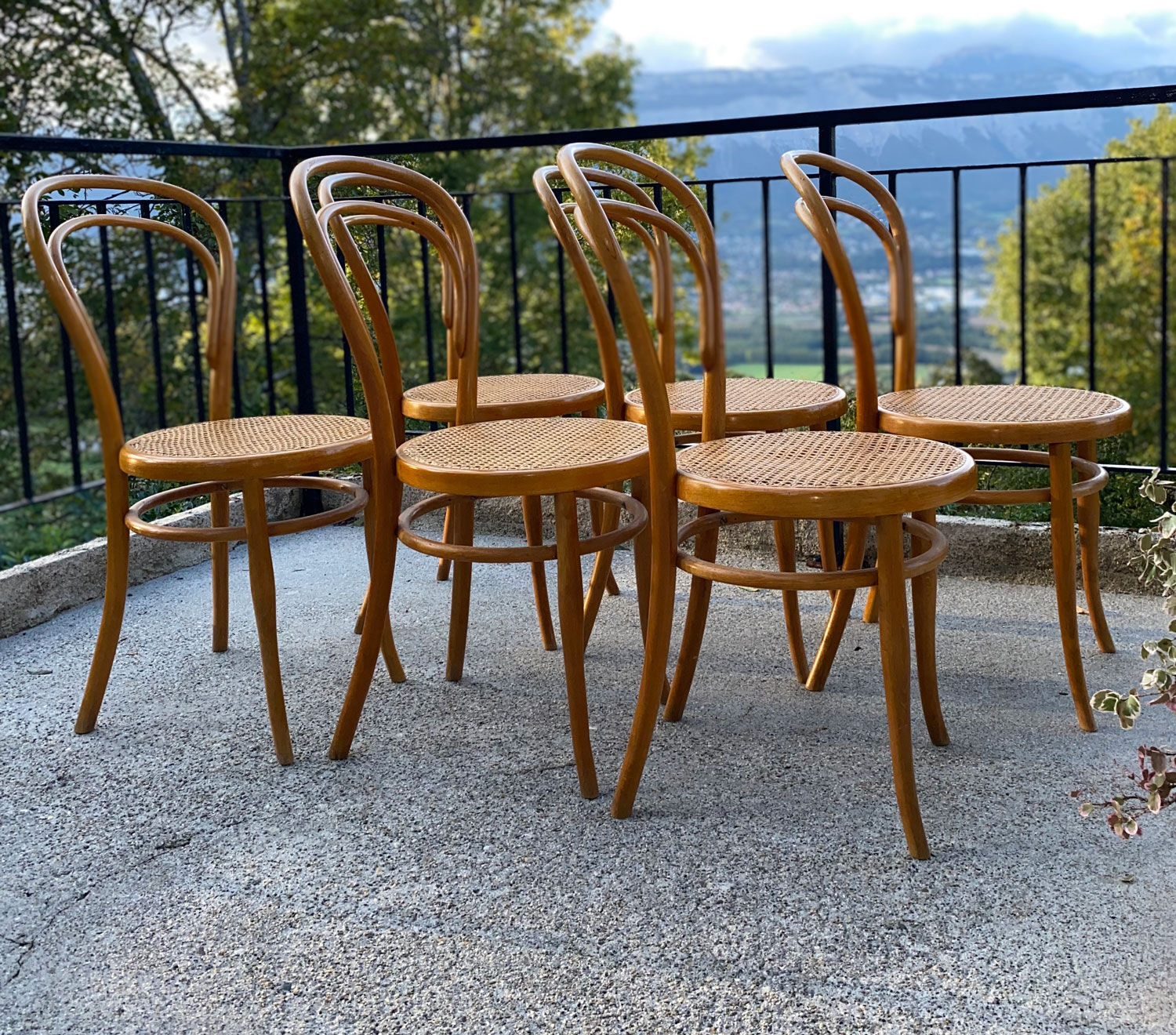 6 curved wooden chairs Thonet