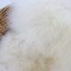 1960s Pair of Rattan Woven Basket Chair with Icelandic Sheepskin