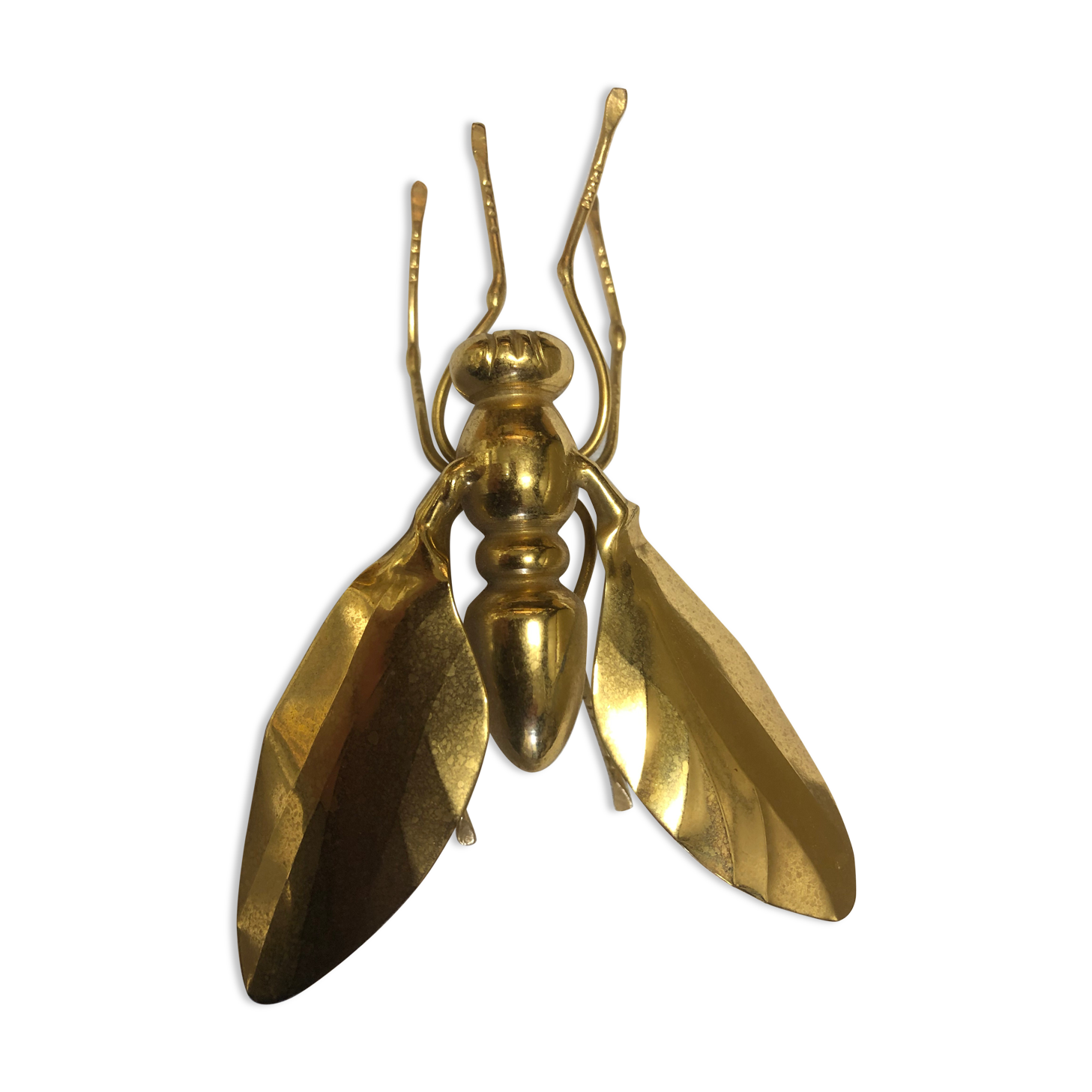 Golden brass fly 1970