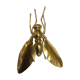 Golden brass fly 1970