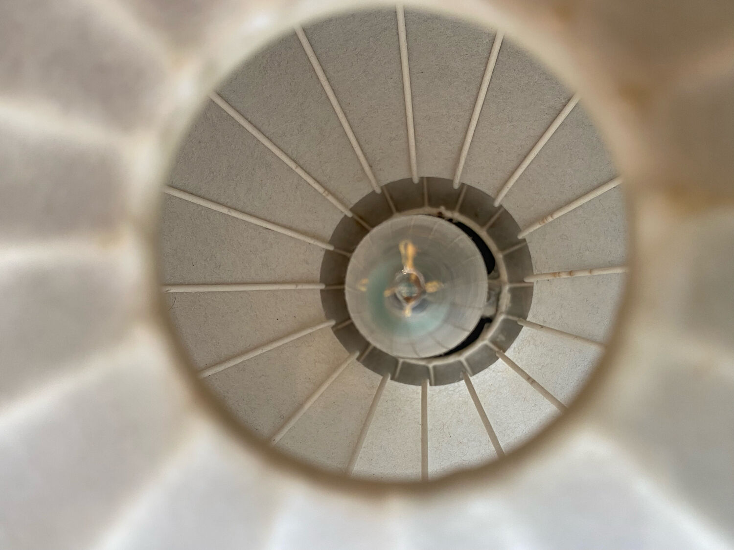 Desk lamps "Gatto" Achille Castiglioni