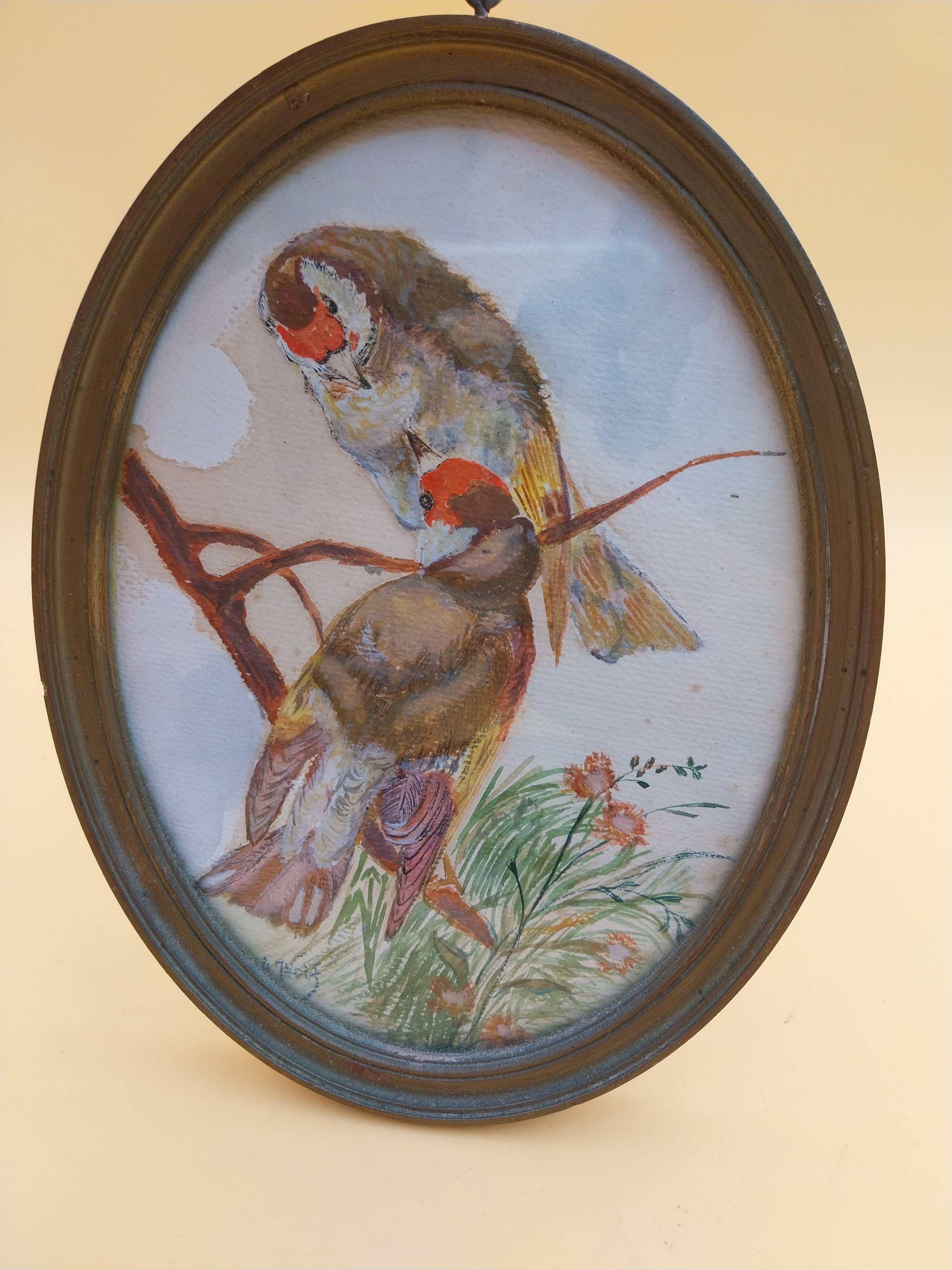 3 tableaux aquarelle peinture oiseaux signé Wolf