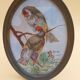 3 tableaux aquarelle peinture oiseaux signé Wolf