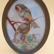 3 tableaux aquarelle peinture oiseaux signé Wolf