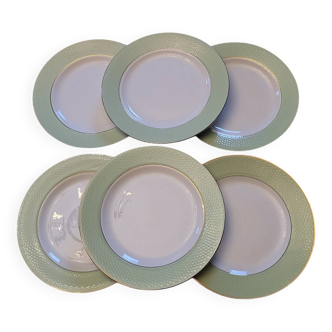 Amandinoise dinner plates