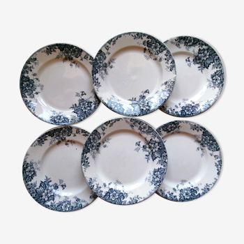 6 flat plates wolf mill blue and white iron earth