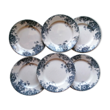 6 flat plates wolf mill blue and white iron earth