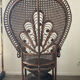 Fauteuil Paon Emmanuelle des années 60