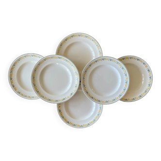 6 large antique flat plates in longwy earthenware.