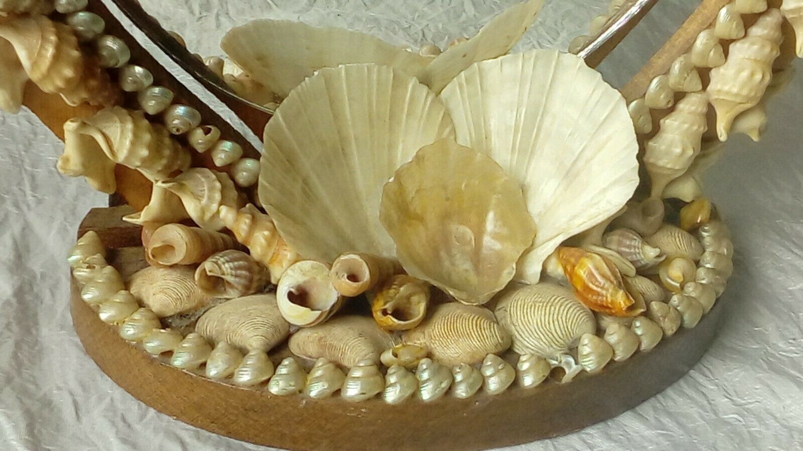 Mirror to be placed in wood and shell