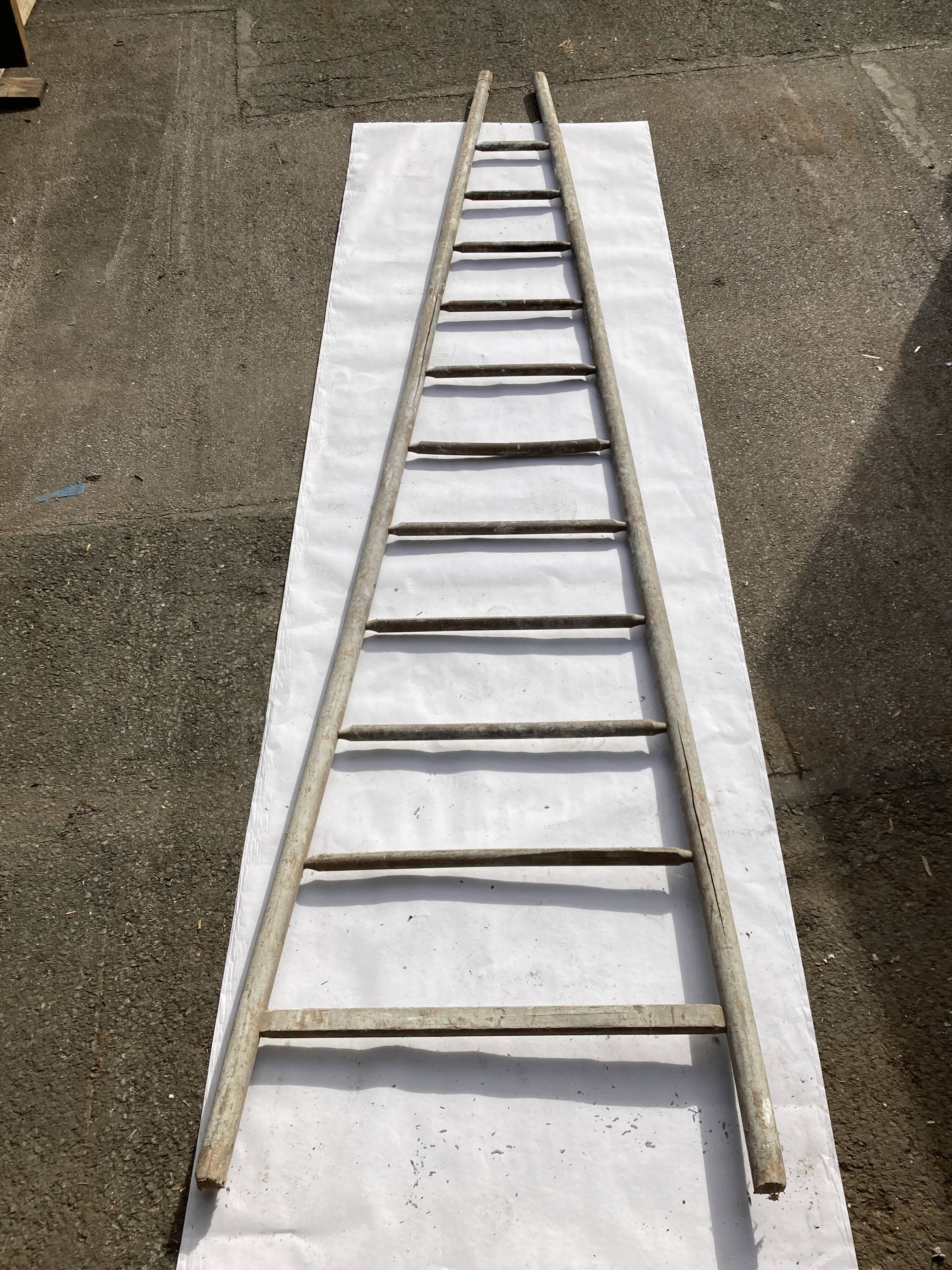 Former fruit ladder harvesting wood