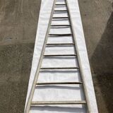 Former fruit ladder harvesting wood