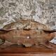 Antique French cast iron planter