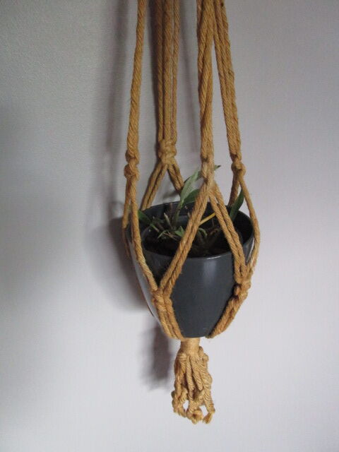 Ancient plant door in macramé