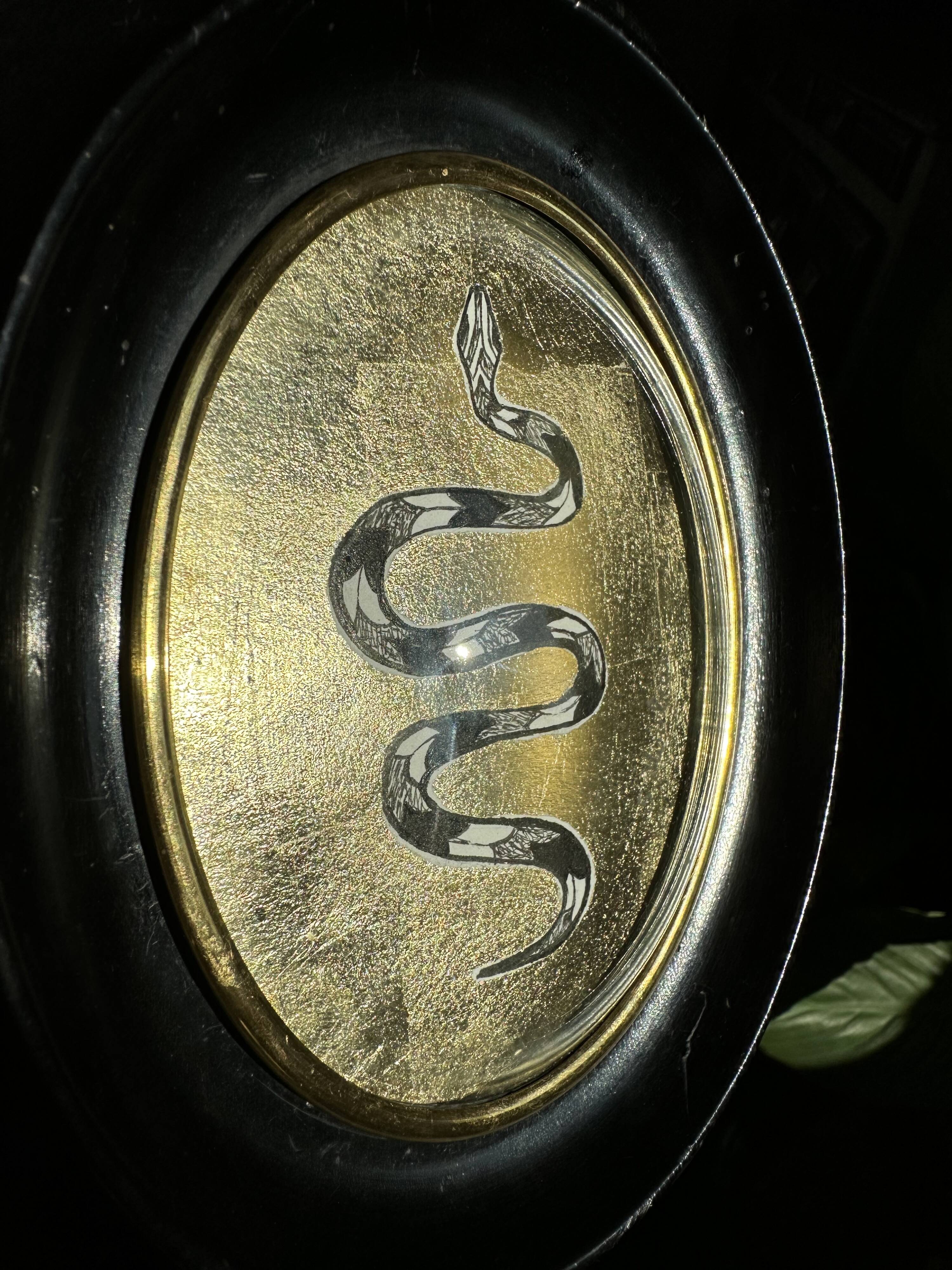 Curved glass snake frame