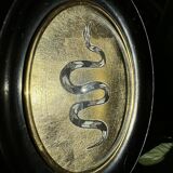 Curved glass snake frame