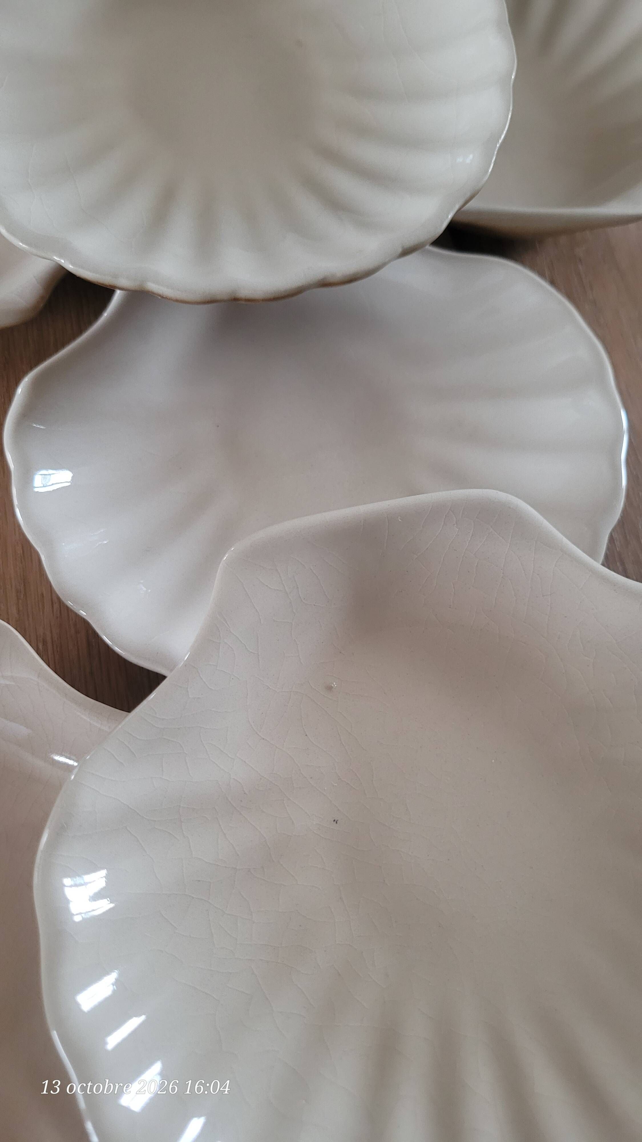 9 scallop shells in glazed stoneware