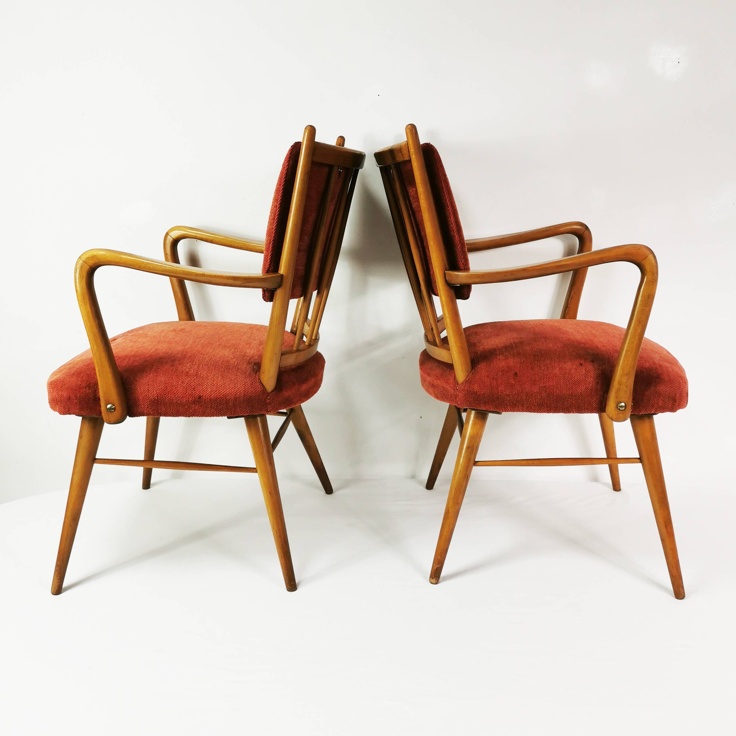 Mid Century Chairs, Casala, Germany 1950s