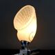Modernist Art Deco "Coquillage" lamp, France, circa 1930