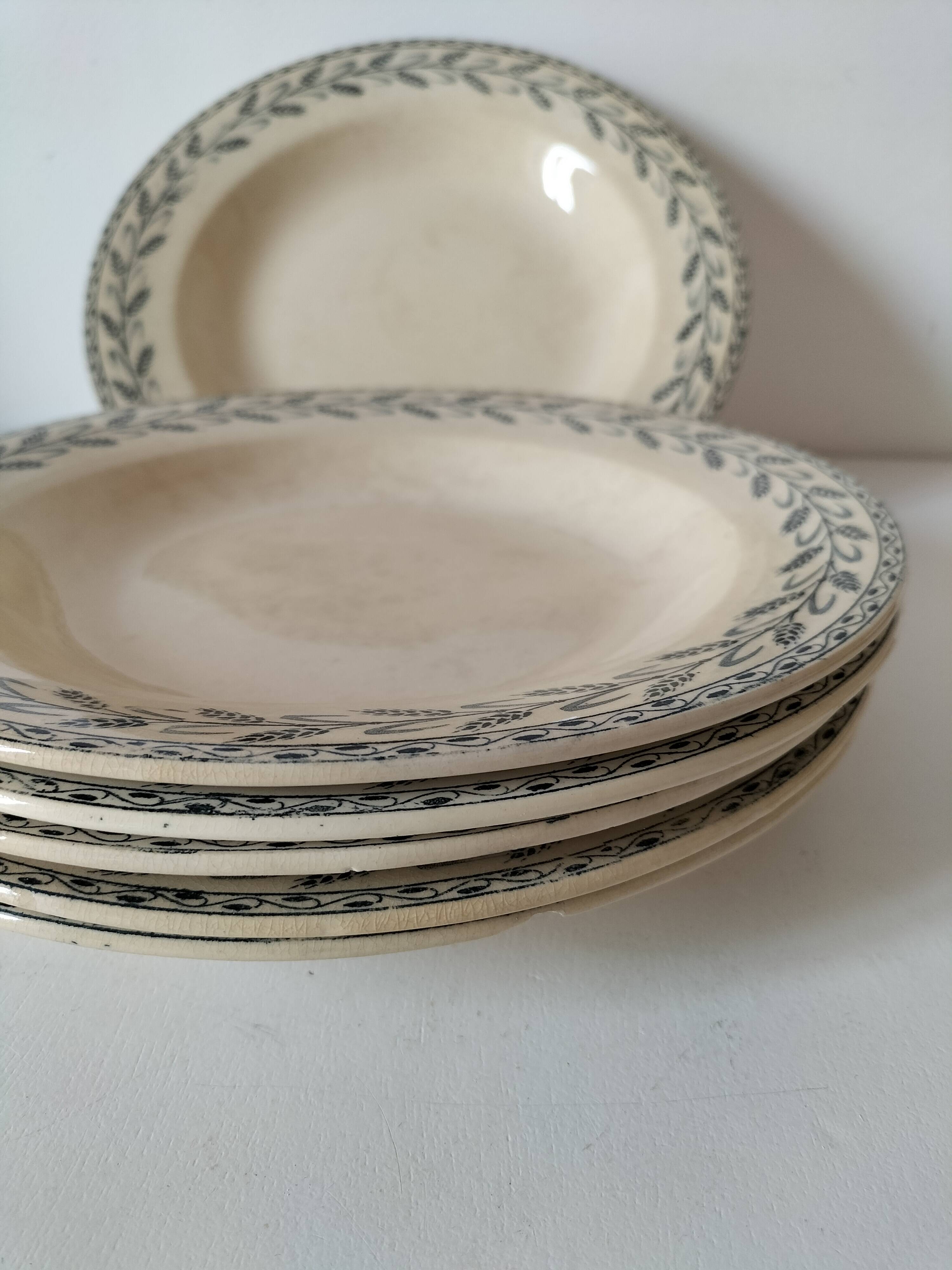 6 old E.C. Salins “Les Épis” ironstone soup plates