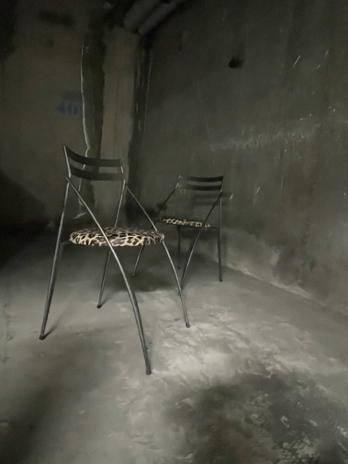 Pair of folding chairs from the 80s with leopard print seats.