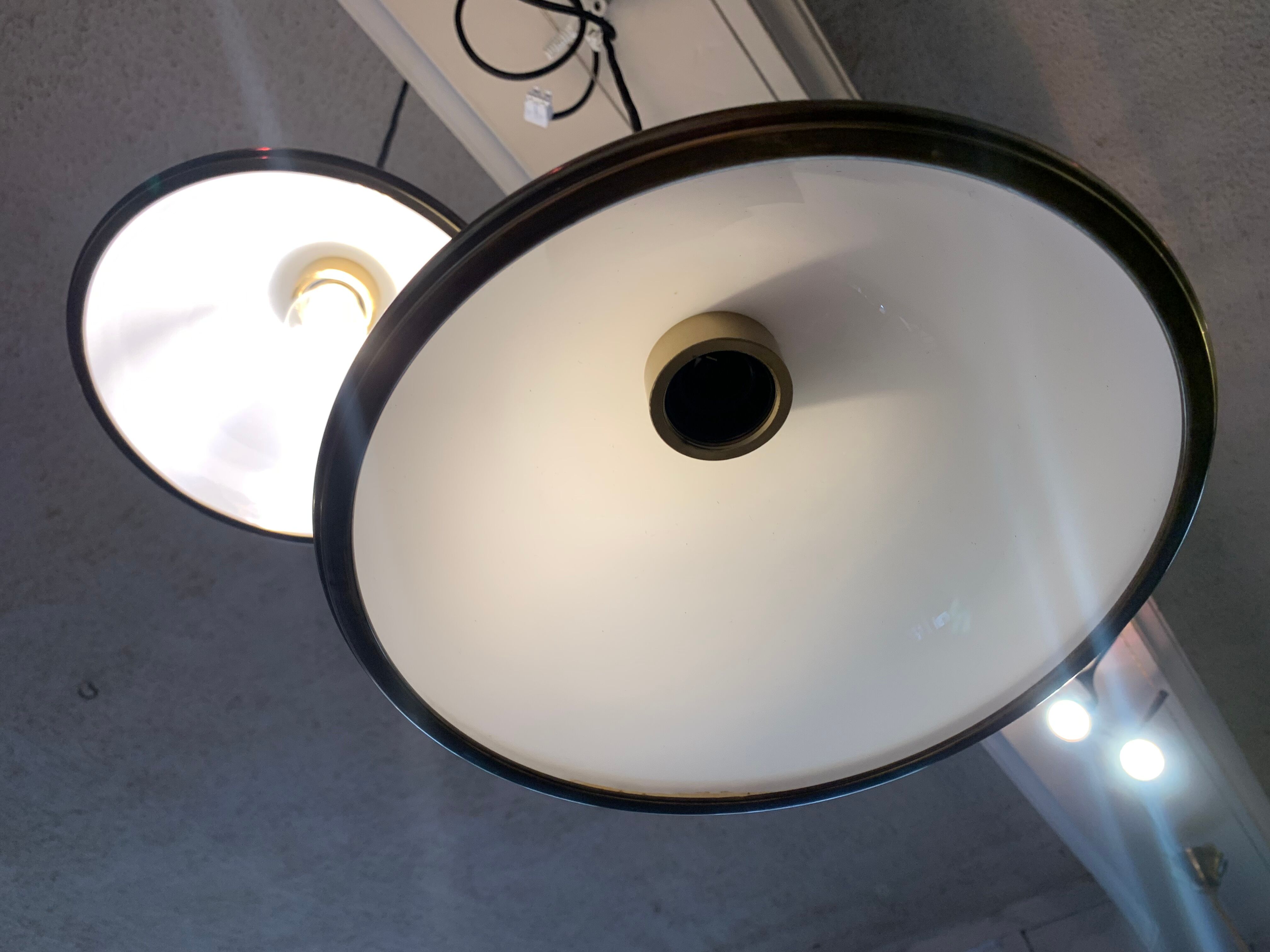 Two opaline suspensions