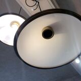 Two opaline suspensions