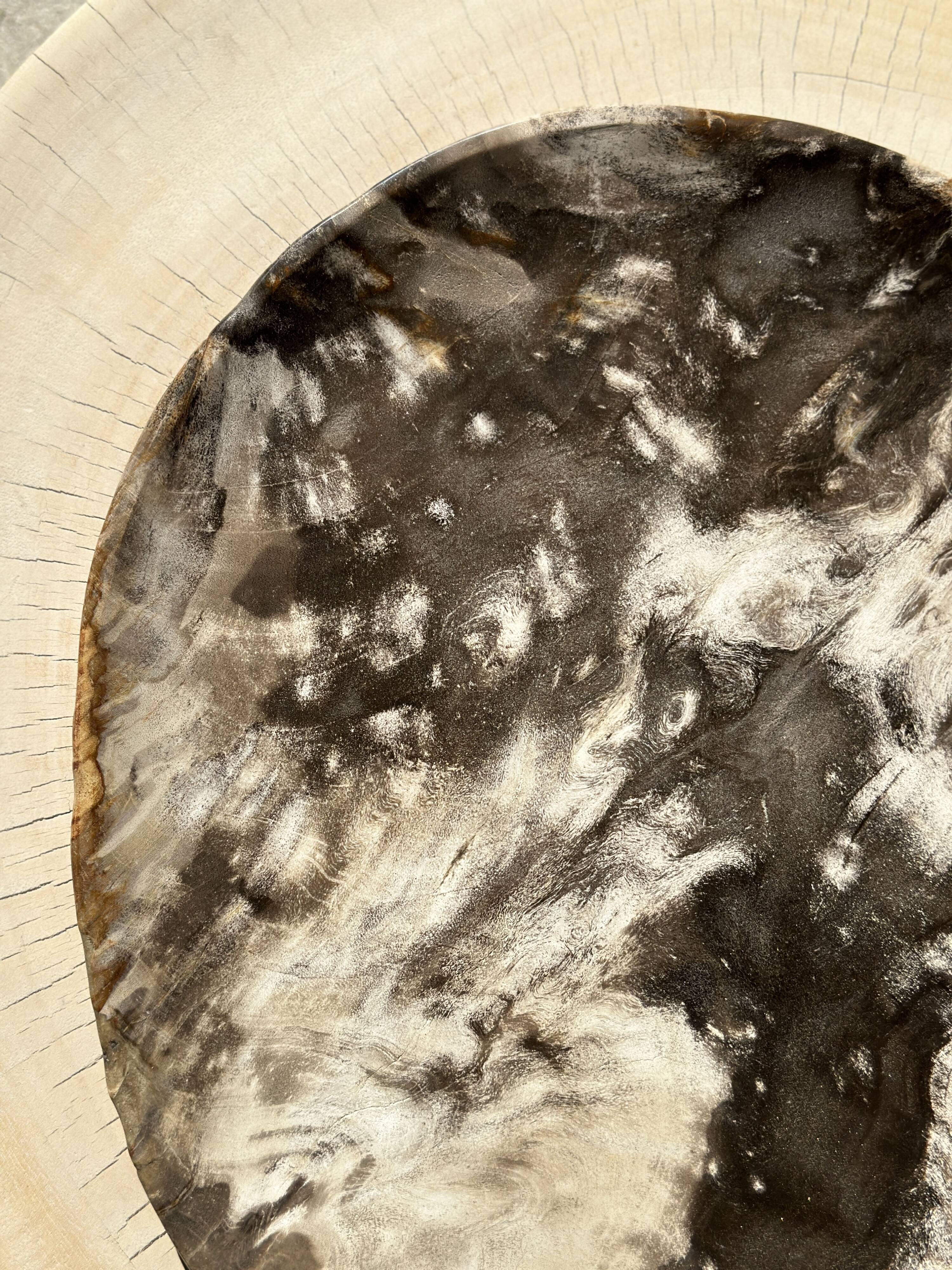 Very large empty pocket or petrified wooden flat